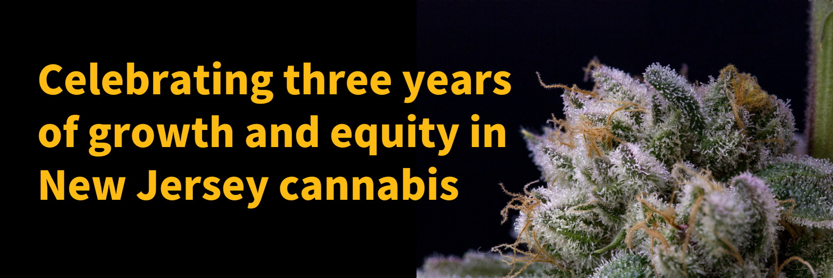 Celebrating three years of growth and equity in NJ cannabis